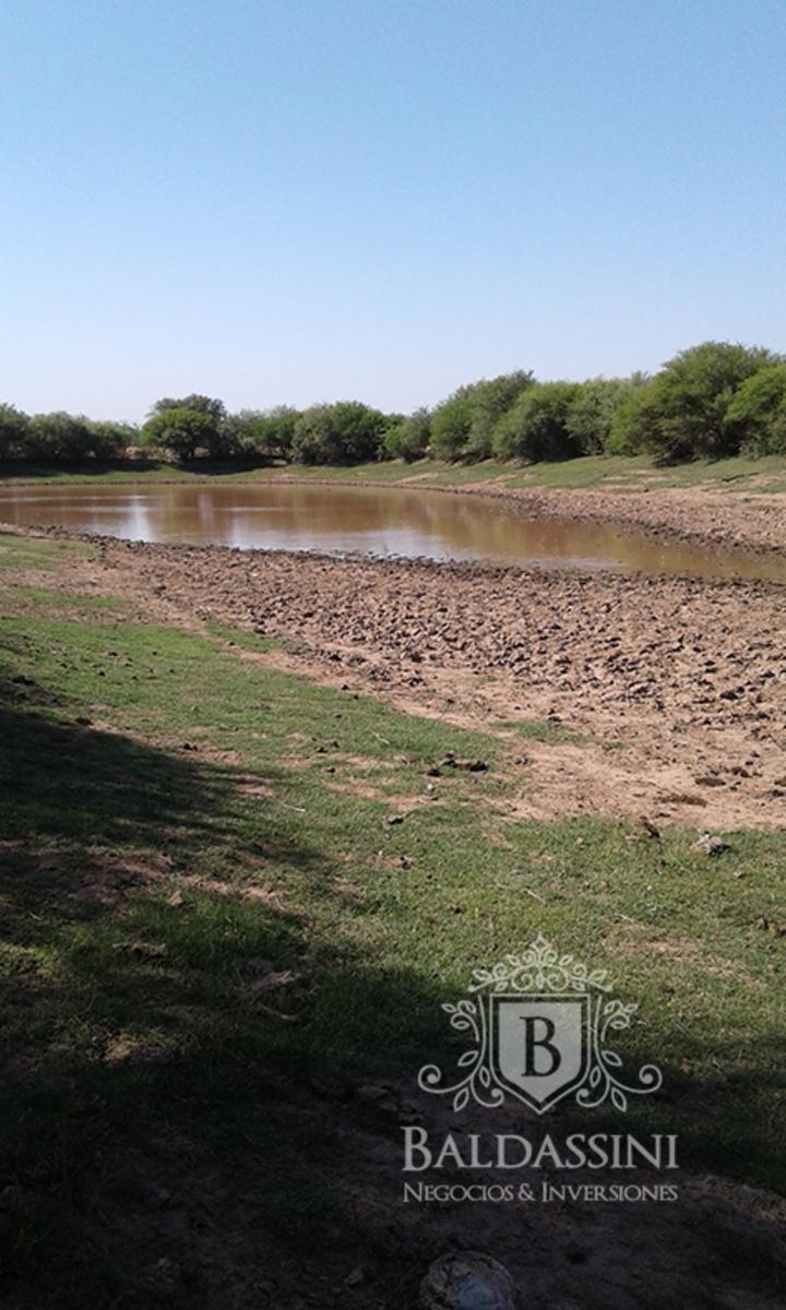 CAMPO GANADERO EN ULAPES- LA RIOJA - IDEAL PARA DESARROLLAR FEEDLOT - OPORTUNIDAD - 10