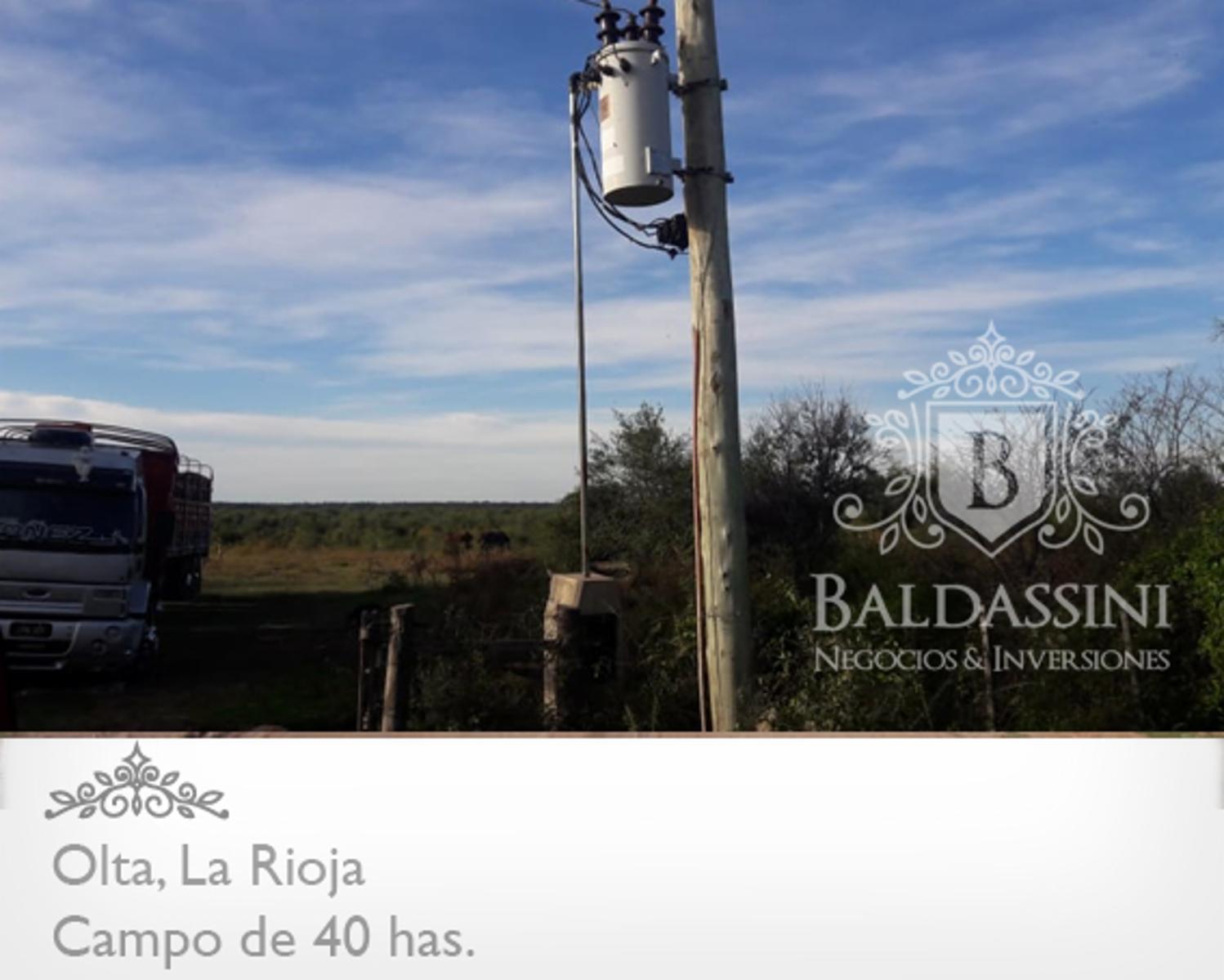 CAMPO DE 40 HAS EN OLTA SOBRE RUTA - LUZ TRIFÁSICA - ALAMBRADO - 2