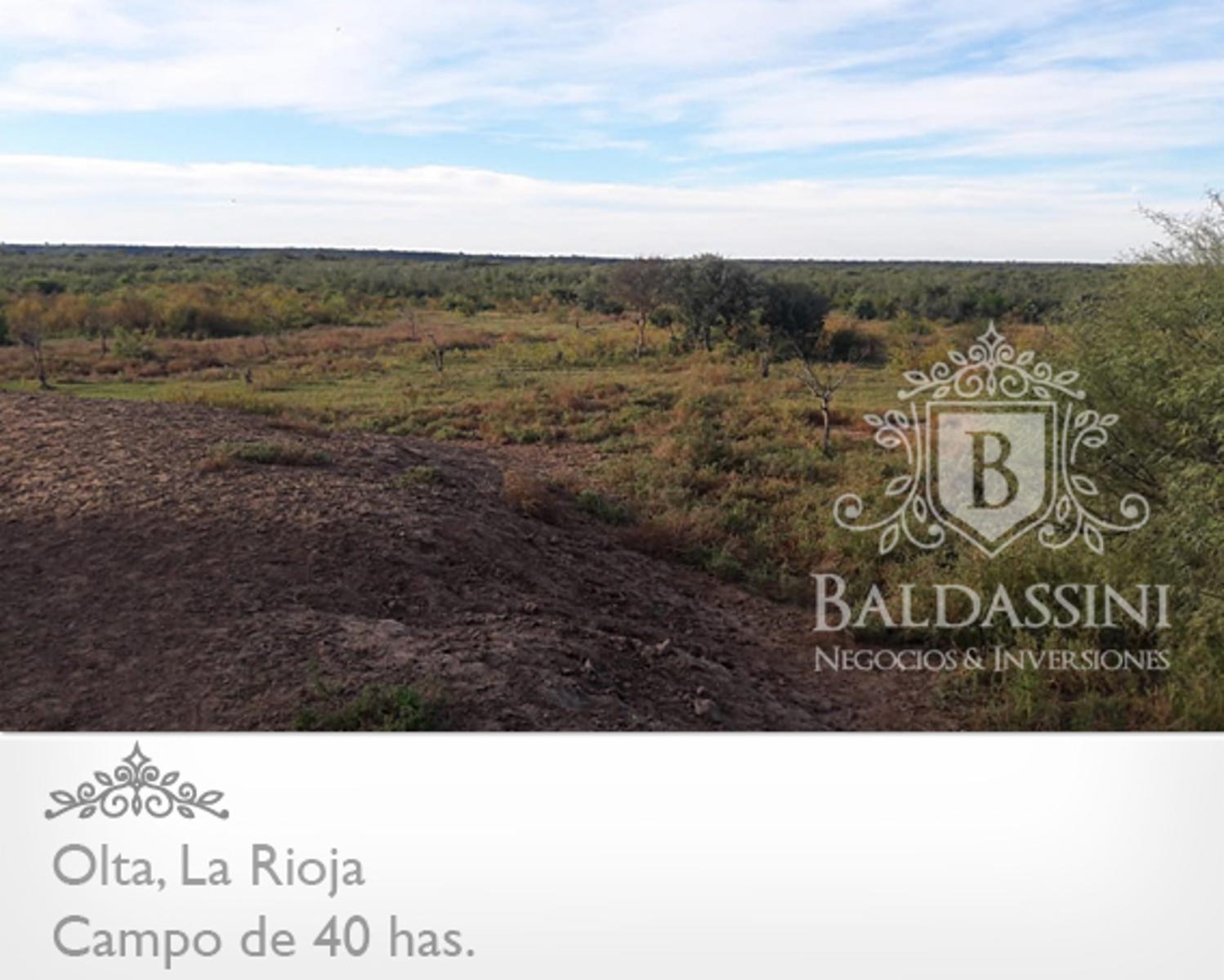 CAMPO DE 40 HAS EN OLTA SOBRE RUTA - LUZ TRIFÁSICA - ALAMBRADO - 3