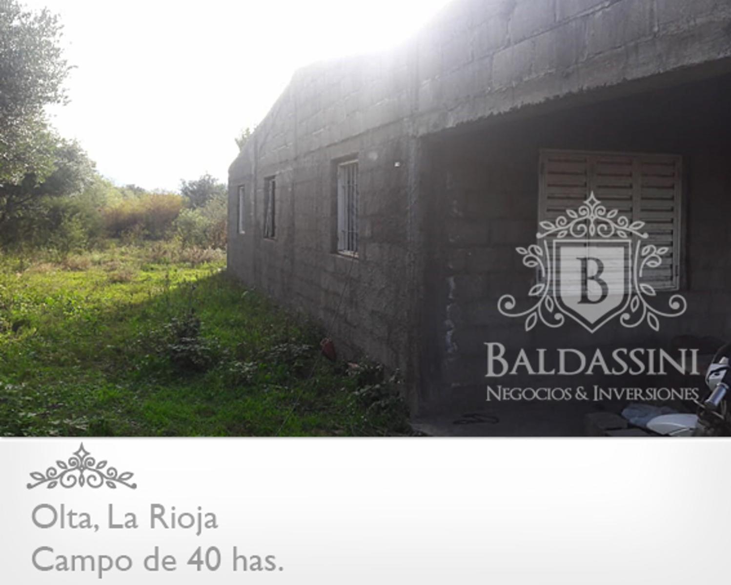 CAMPO DE 40 HAS EN OLTA SOBRE RUTA - LUZ TRIFÁSICA - ALAMBRADO - 7