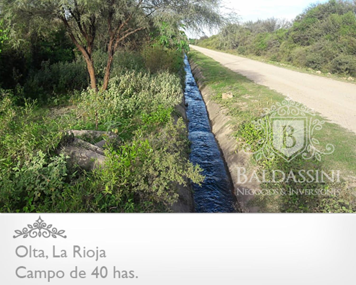 CAMPO DE 40 HAS EN OLTA SOBRE RUTA - LUZ TRIFÁSICA - ALAMBRADO - 9
