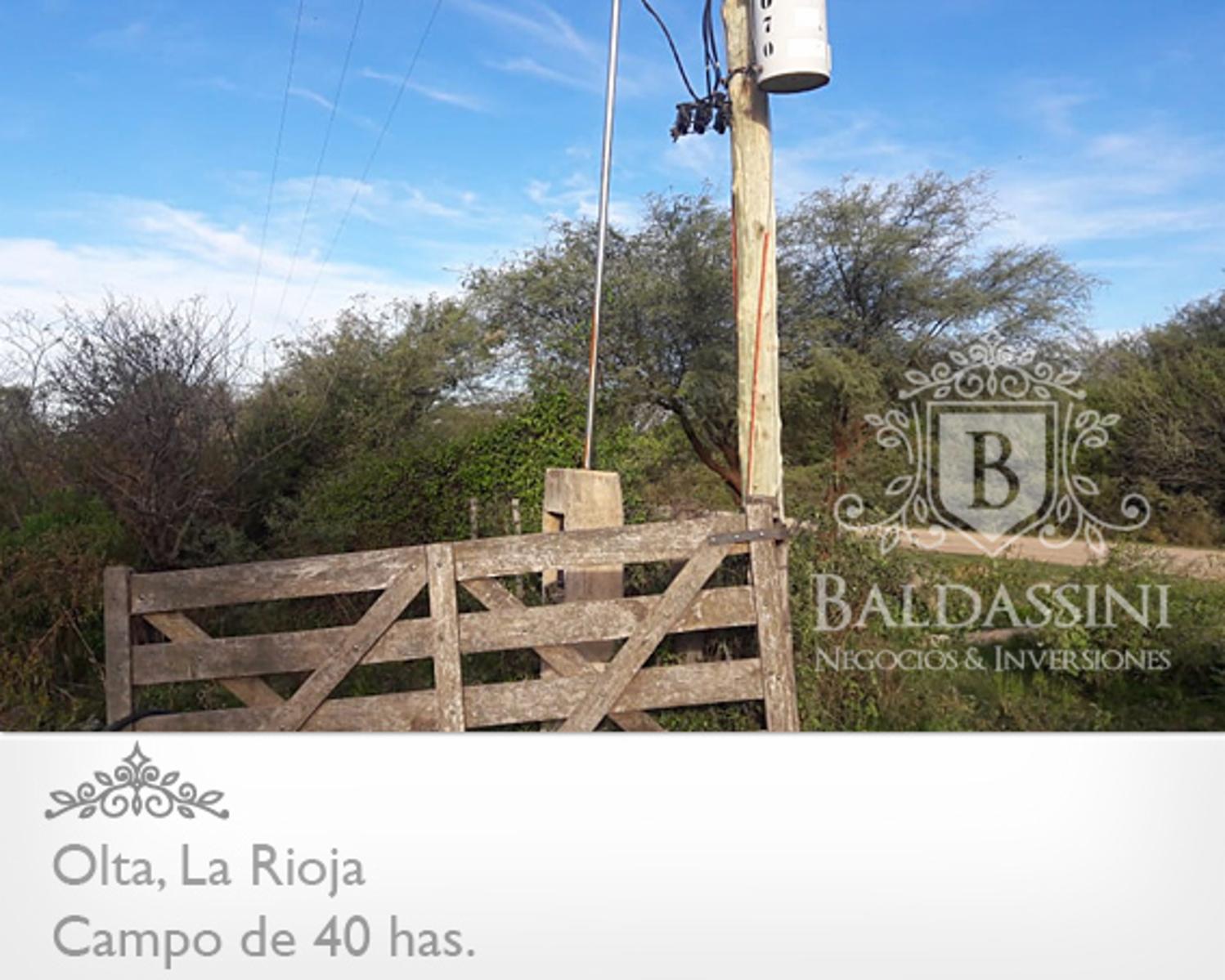 CAMPO DE 40 HAS EN OLTA SOBRE RUTA - LUZ TRIFÁSICA - ALAMBRADO - 10