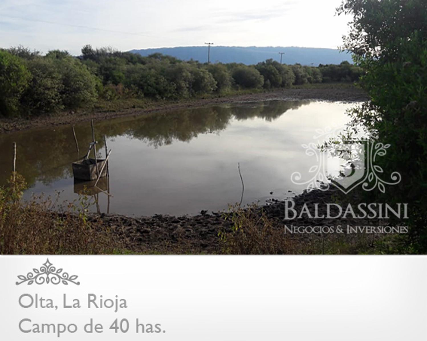 CAMPO DE 40 HAS EN OLTA SOBRE RUTA - LUZ TRIFÁSICA - ALAMBRADO - 11