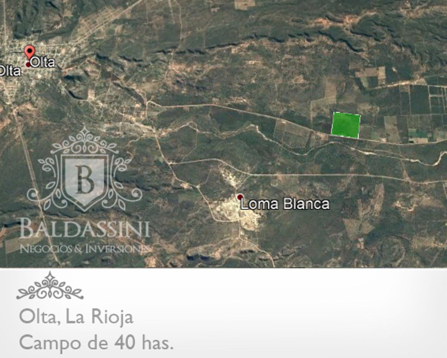 CAMPO DE 40 HAS EN OLTA SOBRE RUTA - LUZ TRIFÁSICA - ALAMBRADO - 13