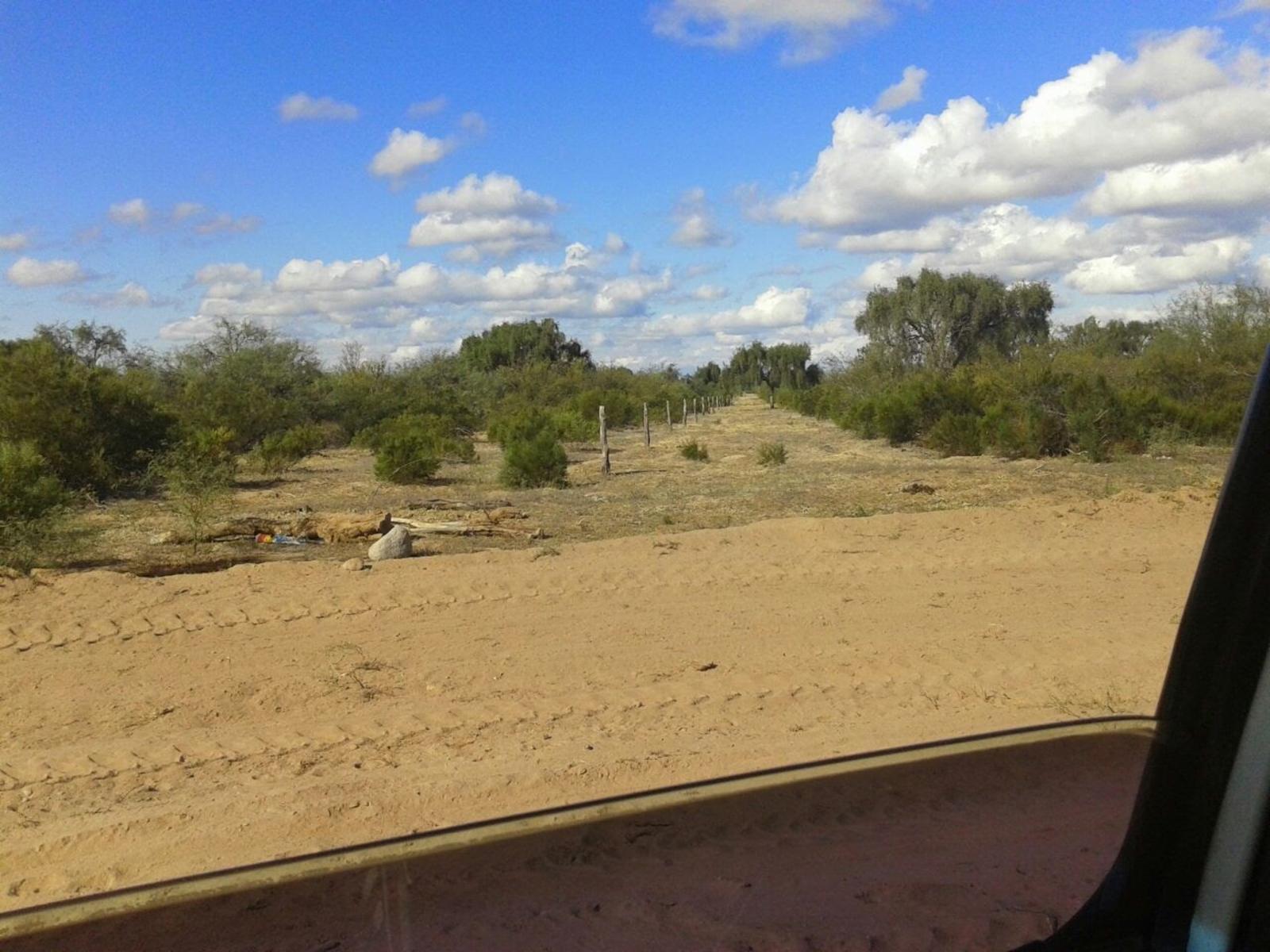 Campo Ganadero de 18.000 ha en La Rioja - Se entrega totalmente rolado y sembrado con pastura buffel grass - 1