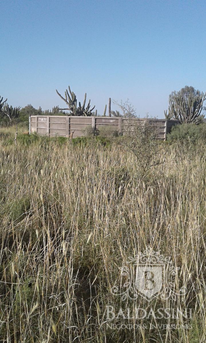 Excelente oportunidad - Gran Campo Ganadero en El Chañar - 5900 ha - u$S60 x ha - 2