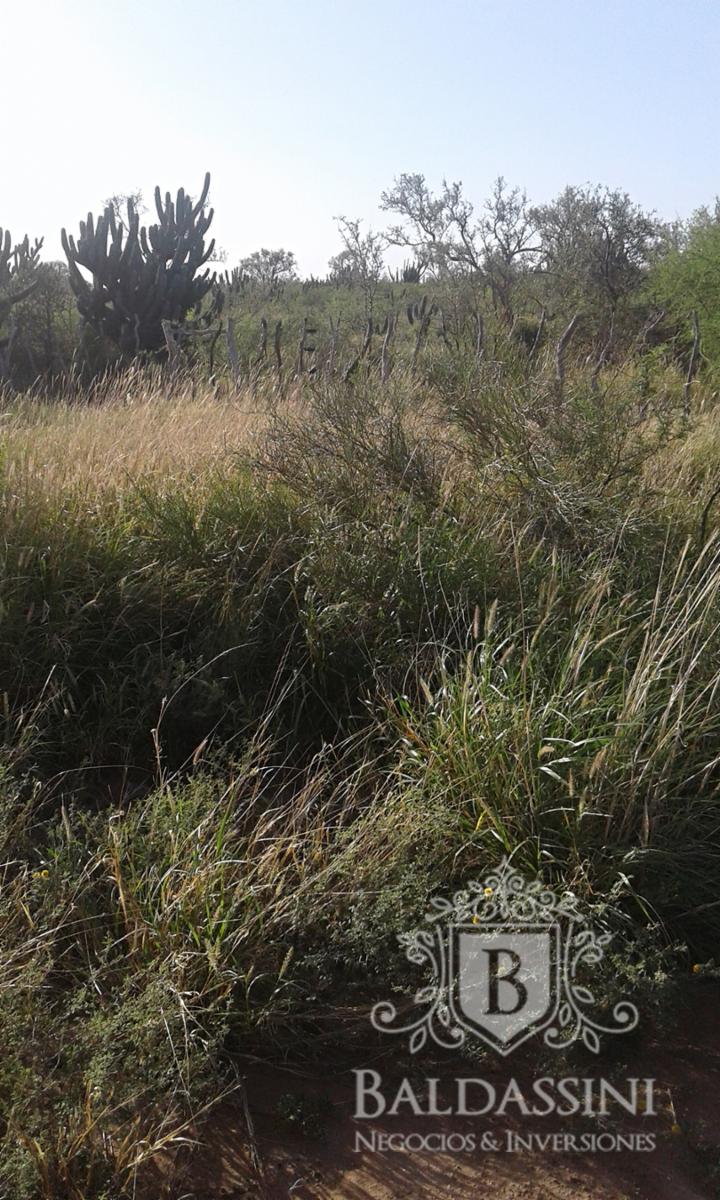 Excelente oportunidad - Gran Campo Ganadero en El Chañar - 5900 ha - u$S60 x ha - 4