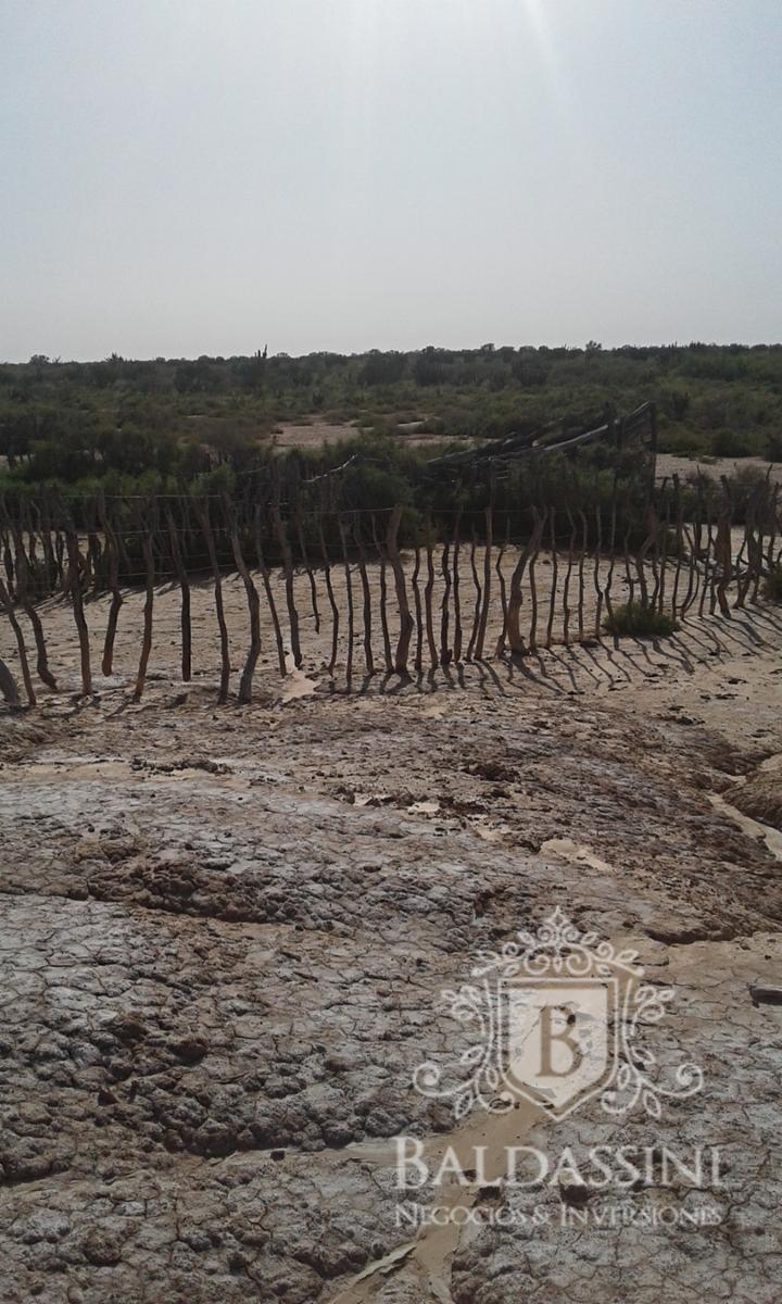 Excelente oportunidad - Gran Campo Ganadero en El Chañar - 5900 ha - u$S60 x ha - 8