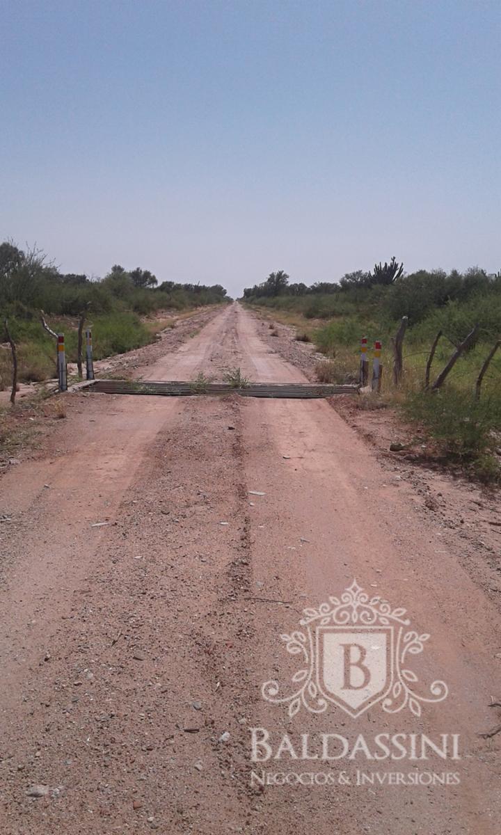 Excelente oportunidad - Gran Campo Ganadero en El Chañar - 5900 ha - u$S60 x ha - 10
