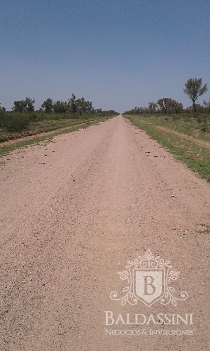 Excelente oportunidad - Gran Campo Ganadero en El Chañar - 5900 ha - u$S60 x ha - 11