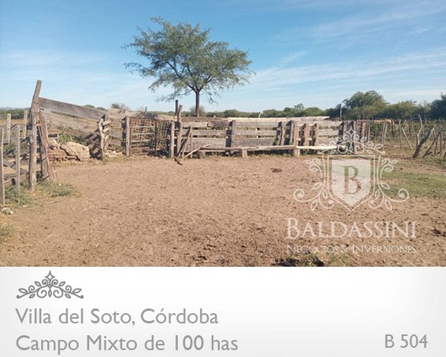 Campo de 100 has Mixto - Villa del Soto - Córdoba - 2