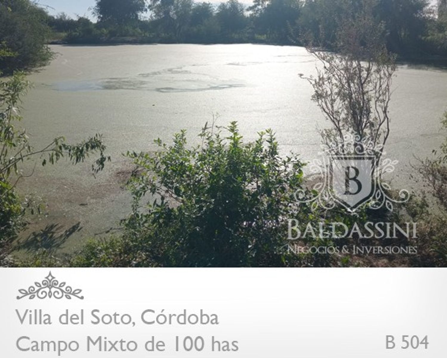 Campo de 100 has Mixto - Villa del Soto - Córdoba - 3