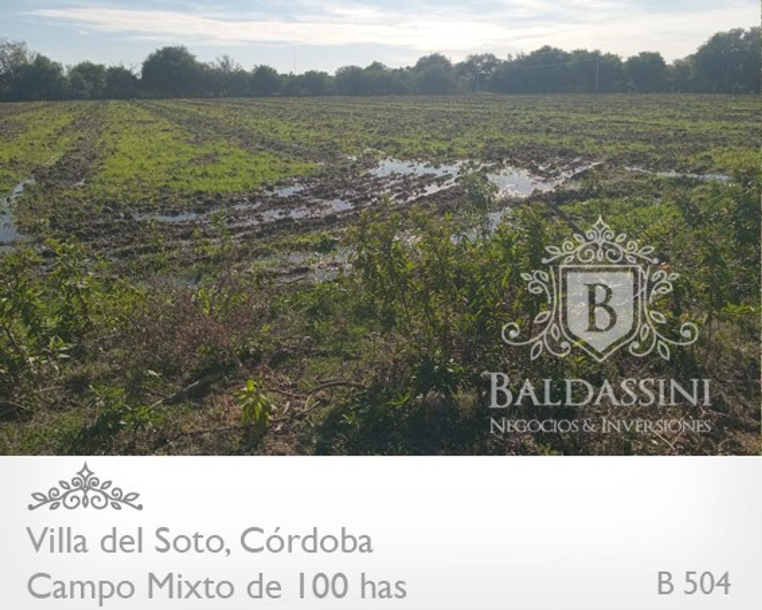 Campo de 100 has Mixto - Villa del Soto - Córdoba - 4