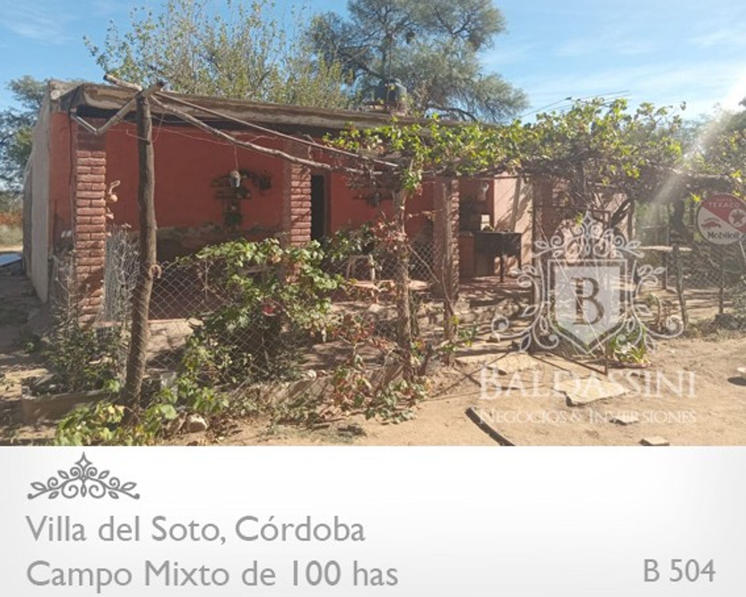 Campo de 100 has Mixto - Villa del Soto - Córdoba - 5