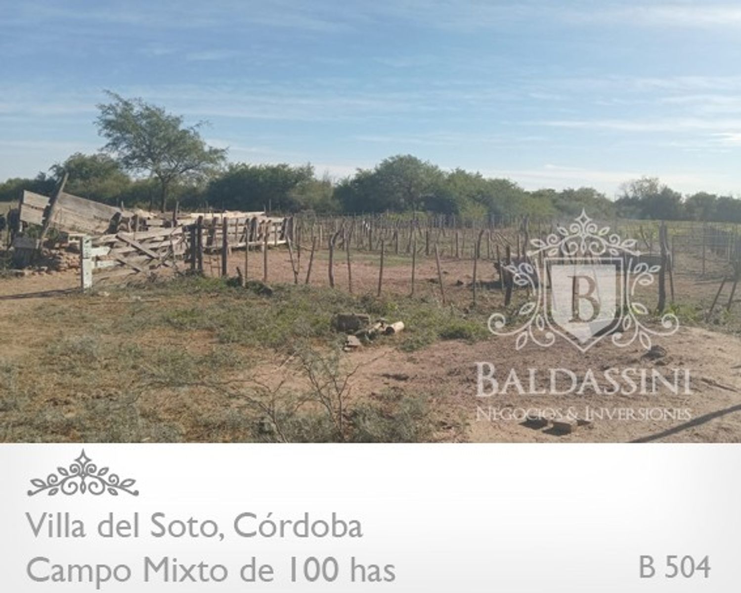 Campo de 100 has Mixto - Villa del Soto - Córdoba - 6