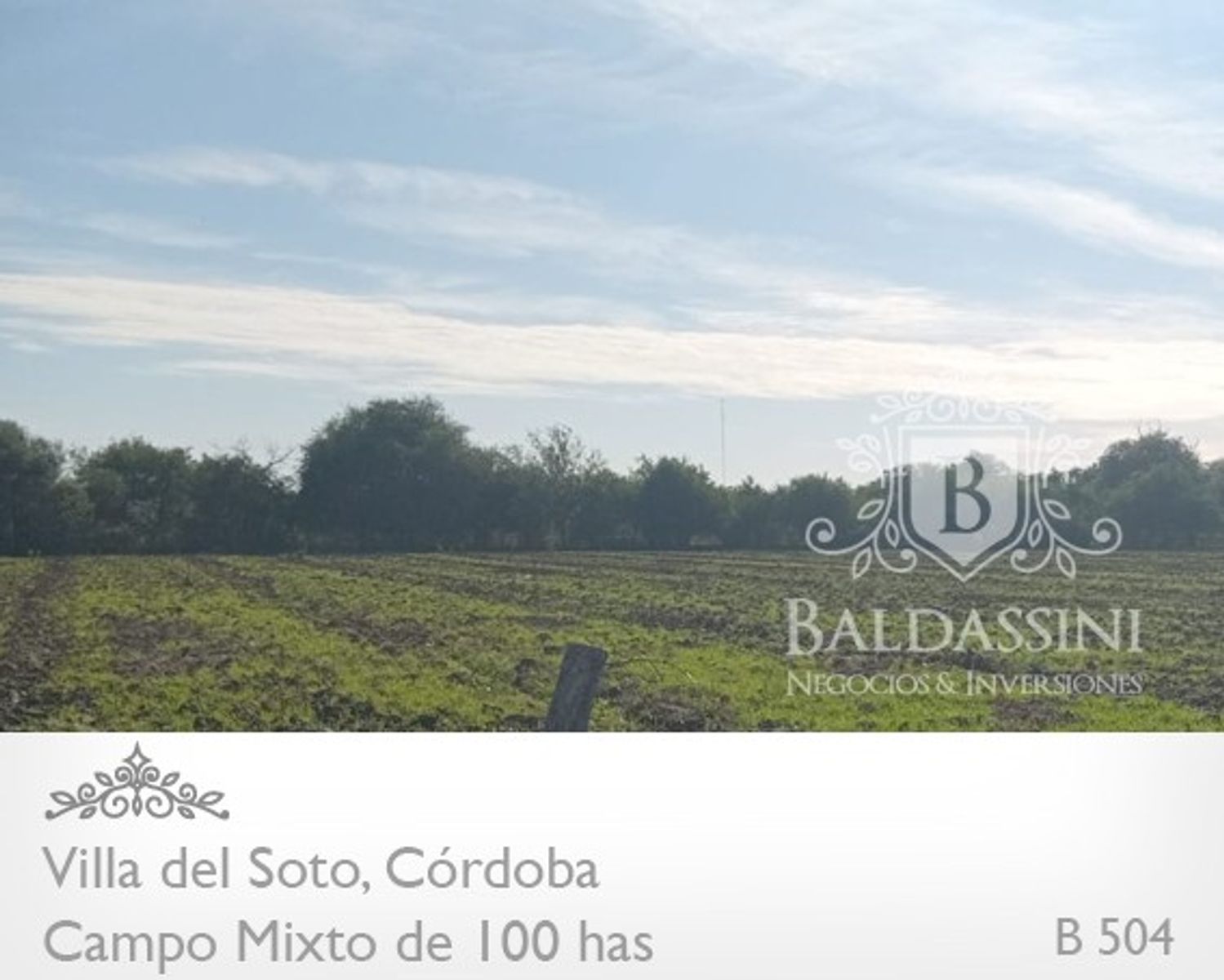 Campo de 100 has Mixto - Villa del Soto - Córdoba - 7