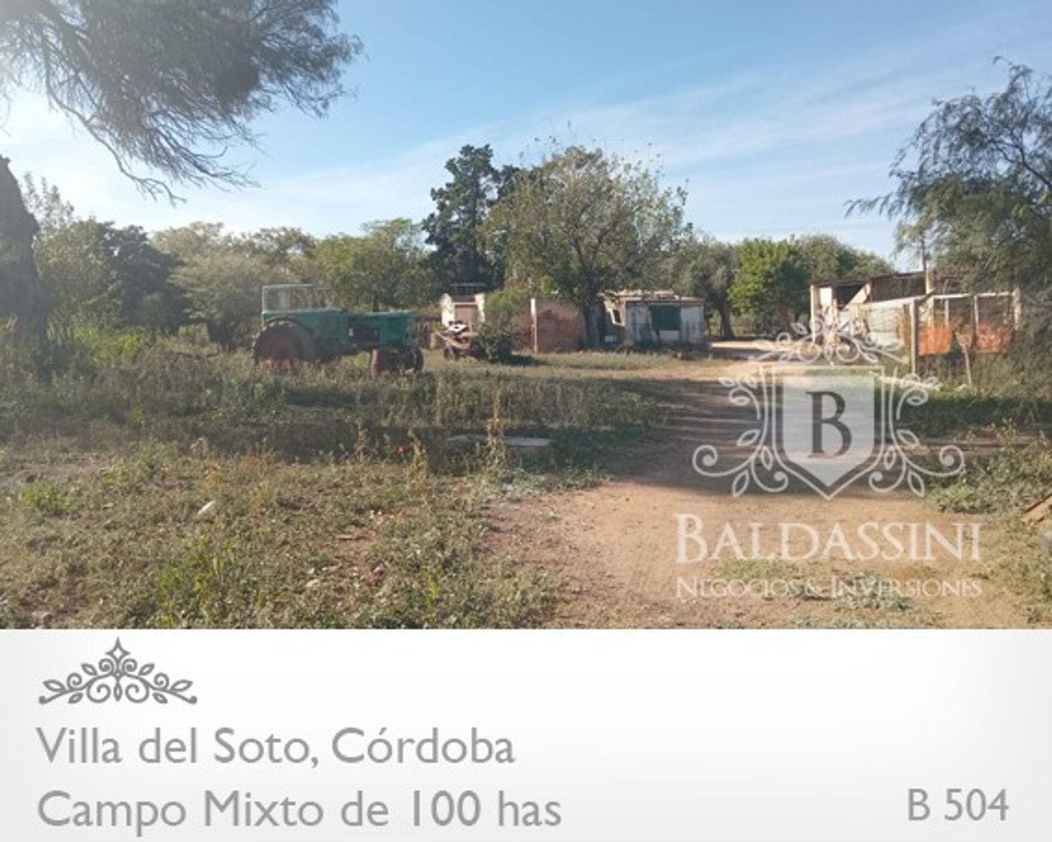 Campo de 100 has Mixto - Villa del Soto - Córdoba - 8