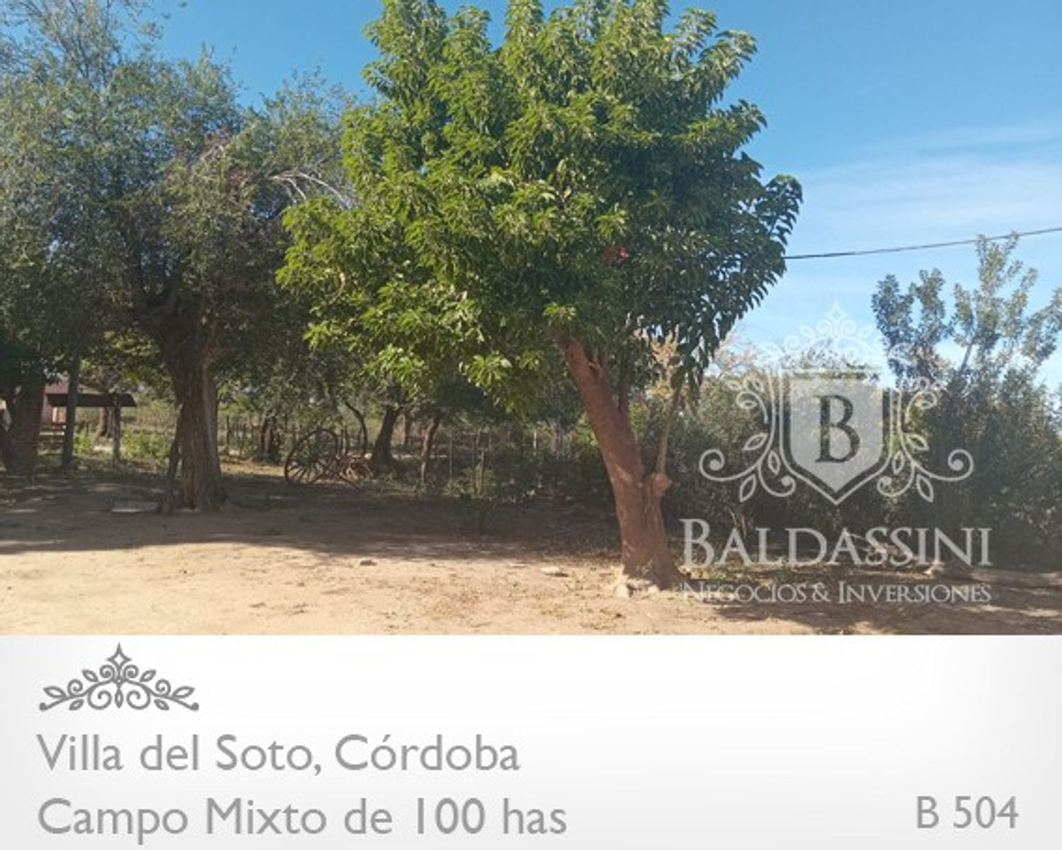 Campo de 100 has Mixto - Villa del Soto - Córdoba - 9