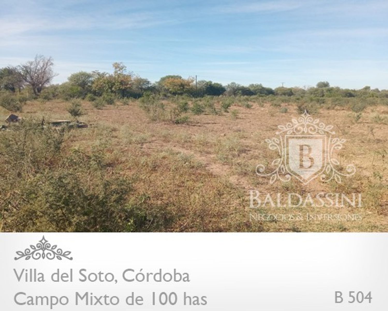 Campo de 100 has Mixto - Villa del Soto - Córdoba - 10