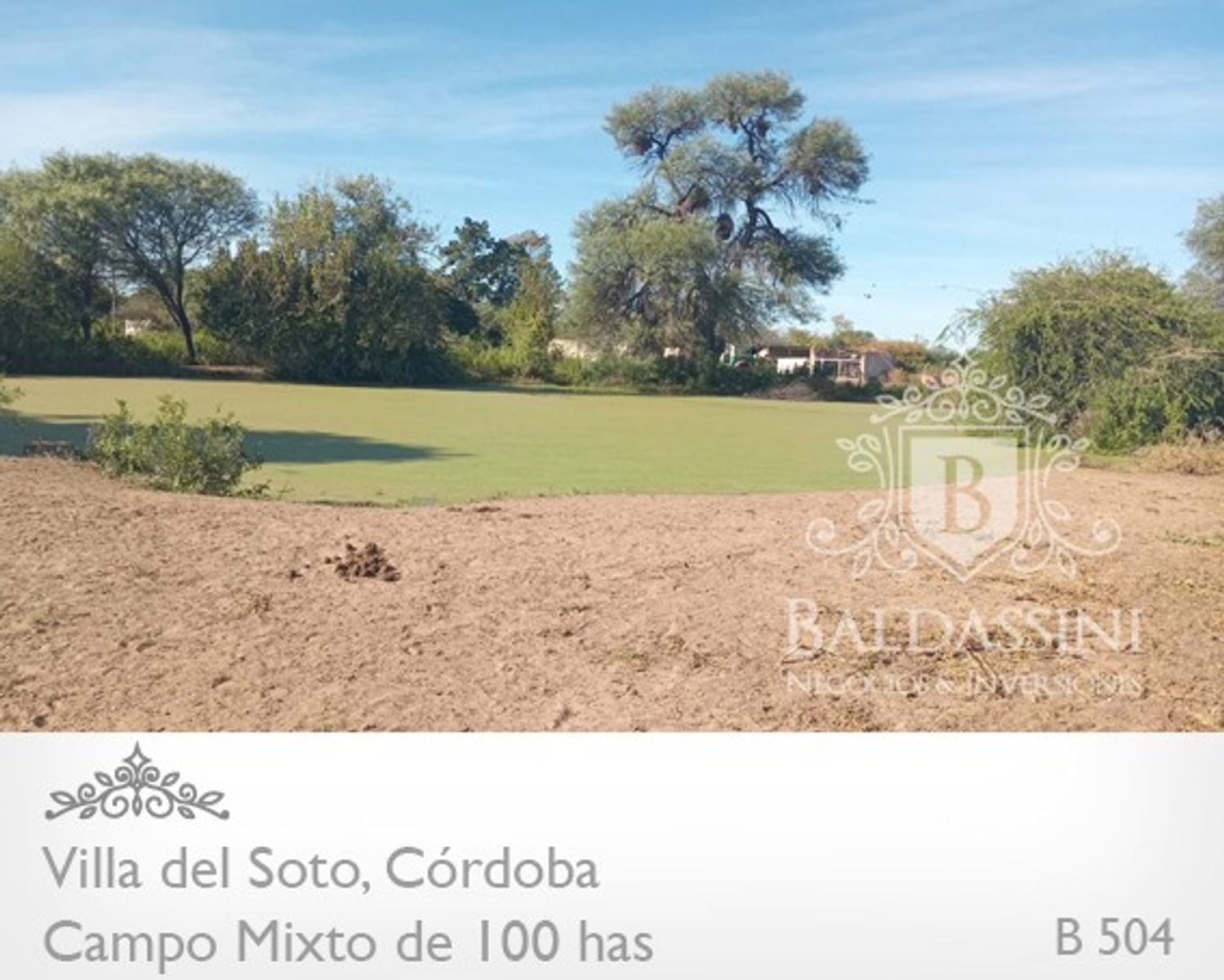 Campo de 100 has Mixto - Villa del Soto - Córdoba - 11