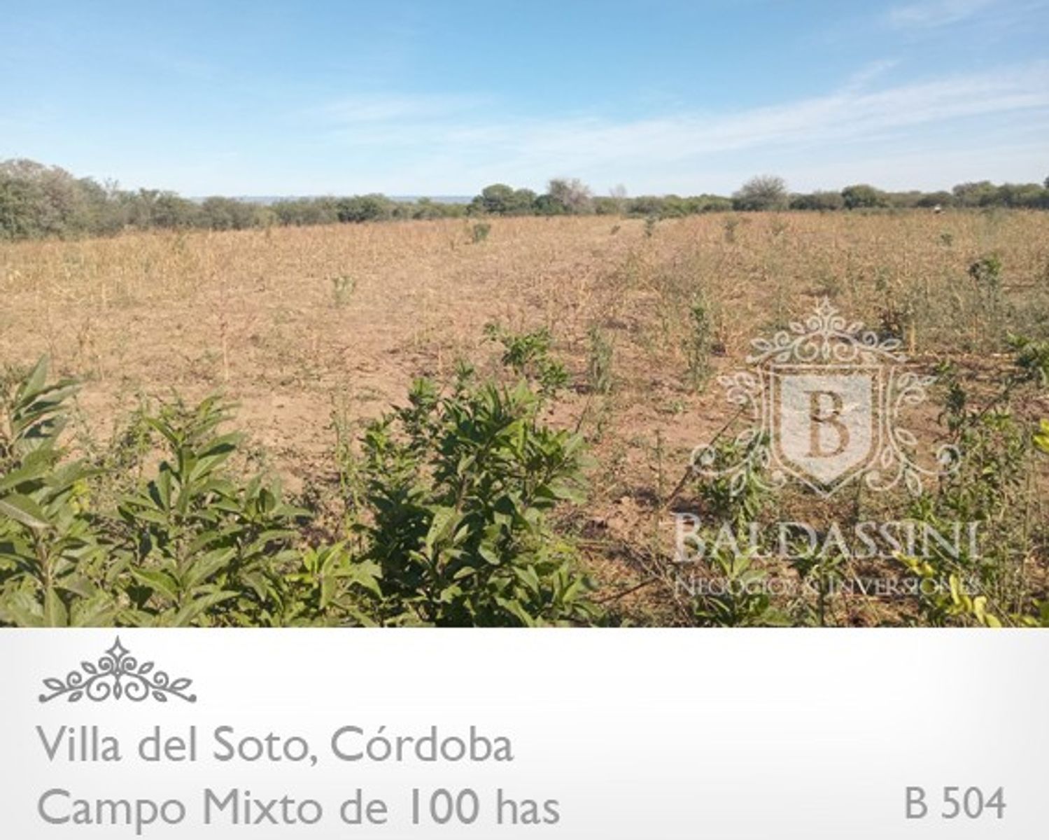 Campo de 100 has Mixto - Villa del Soto - Córdoba - 12