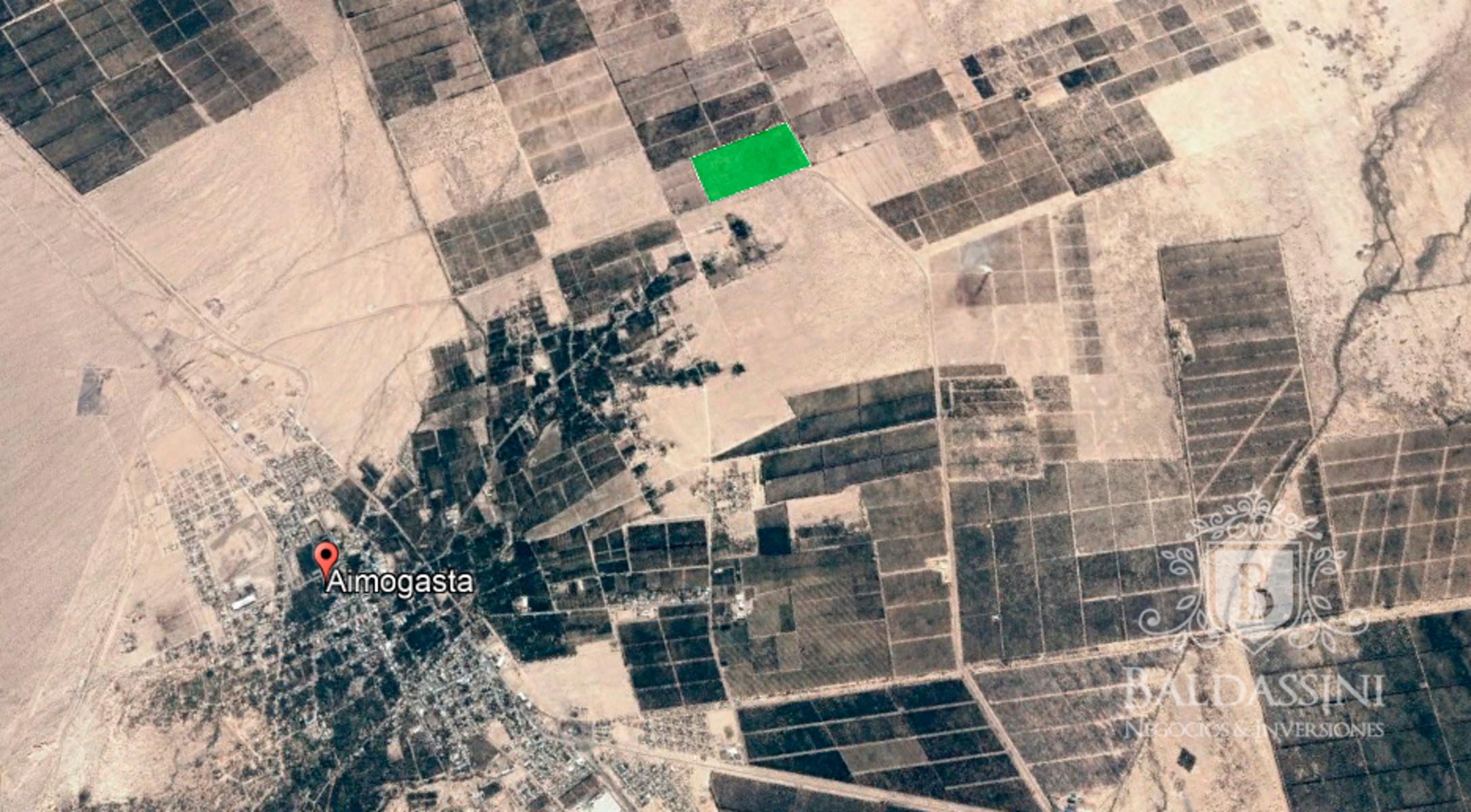 FINCA DE OLIVARES EN AIMOGASTA A 55 HAS. CON 4000 PLANTAS DE OLIVARES A 3 KM DE LA CIUDAD. SOBRE RUTA ASFALTADA. (RUTA 60) - Km. 1108 - 2