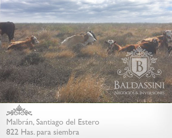 822 HECTÁREAS EN MALBRAN - SANTIAGO DEL ESTERO MIXTO - 1