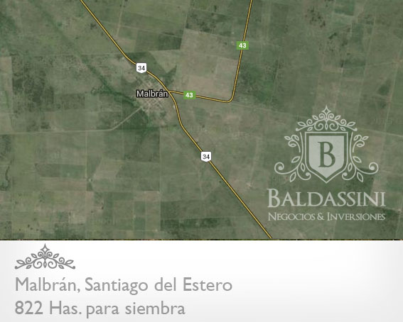 822 HECTÁREAS EN MALBRAN - SANTIAGO DEL ESTERO MIXTO - 3