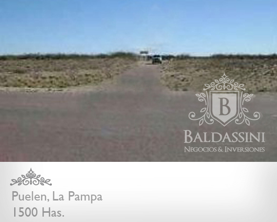 1500 HAS. EN COLONIA 25 DE MAYO, PUELÉN, LA PAMPA - GANADERAS - 1