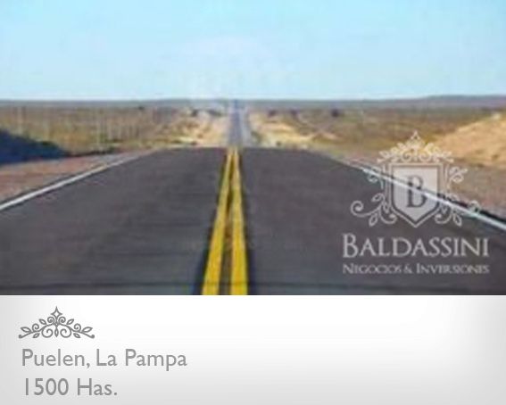 1500 HAS. EN COLONIA 25 DE MAYO, PUELÉN, LA PAMPA - GANADERAS - 2