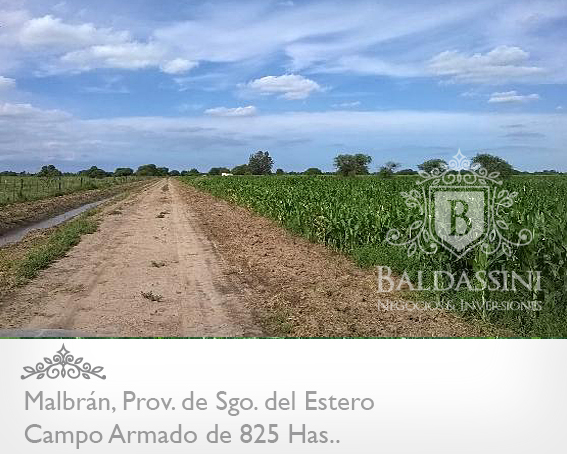 CAMPO DE 825 HAS. ARMADO EN MALBRÁN, SANTIAGO DEL ESTERO - CAMPO AGRÍCOLA / GANADERO, CON CASA PRINCIPAL Y CASA DE CASERO. HAY 1000 HAS MAS DISPONIBLES - 2