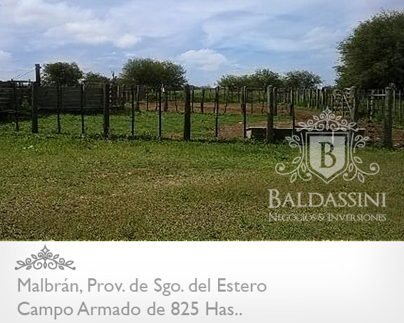 CAMPO DE 825 HAS. ARMADO EN MALBRÁN, SANTIAGO DEL ESTERO - CAMPO AGRÍCOLA / GANADERO, CON CASA PRINCIPAL Y CASA DE CASERO. HAY 1000 HAS MAS DISPONIBLES - 8