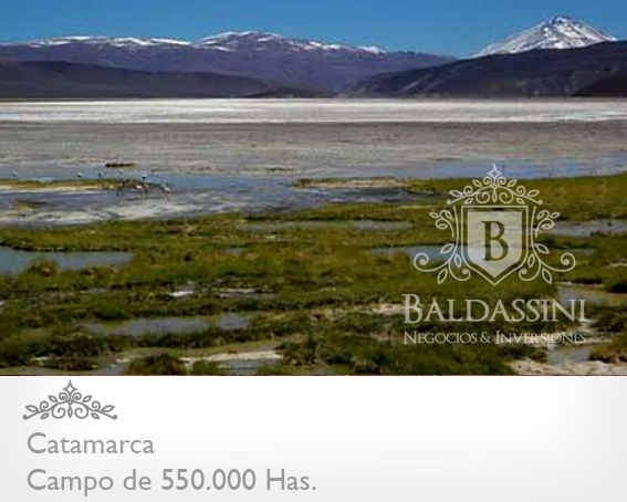 CAMPO DE 520.000 HECTÁREAS EN CATAMARCA CON MINERÍA Y POSIBILIDADDEAGRICULTURA/GANADERÍA / CON ESCRITURAS PERFECTAS / - 2