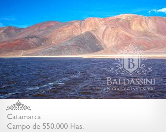 CAMPO DE 520.000 HECTÁREAS EN CATAMARCA CON MINERÍA Y POSIBILIDADDEAGRICULTURA/GANADERÍA / CON ESCRITURAS PERFECTAS / - 3