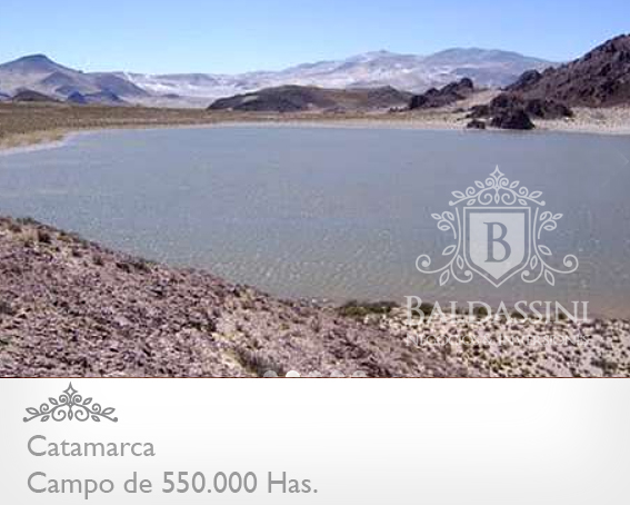 CAMPO DE 520.000 HECTÁREAS EN CATAMARCA CON MINERÍA Y POSIBILIDADDEAGRICULTURA/GANADERÍA / CON ESCRITURAS PERFECTAS / - 4