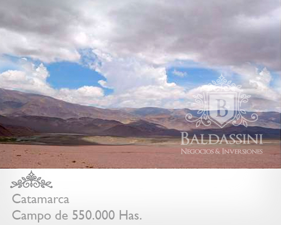 CAMPO DE 520.000 HECTÁREAS EN CATAMARCA CON MINERÍA Y POSIBILIDADDEAGRICULTURA/GANADERÍA / CON ESCRITURAS PERFECTAS / - 5