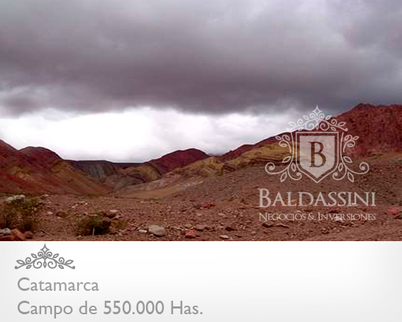 CAMPO DE 520.000 HECTÁREAS EN CATAMARCA CON MINERÍA Y POSIBILIDADDEAGRICULTURA/GANADERÍA / CON ESCRITURAS PERFECTAS / - 6
