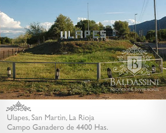 CAMPO GANADERO DE 4400 HECTÁREAS EN ULAPES, DEPARTAMENTO DE SAN MARTÍN, LA RIOJA - CAMPO ARMADO CON POZO DE AGUA DULCE / GALPÓN / CASA - 1