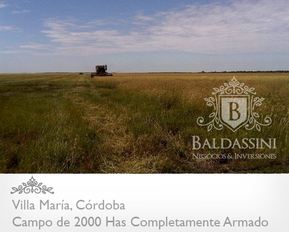 CAMPO GANADERO DE 2000 HAS. EN CÓRDOBA, VILLA MARÍA / A TRANQUERA CERRADA / AGUA / BEBEDEROS / MÁQUINAS COSECHADORAS / SEMBRADORAS / TRACTOR/ ETC. CAMPO MUY ARMADO! - 2