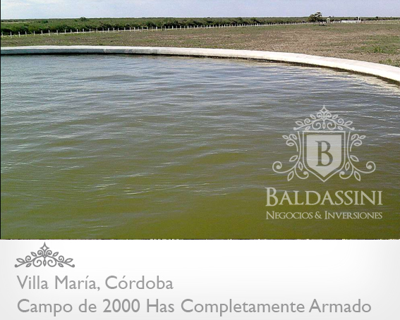 CAMPO GANADERO DE 2000 HAS. EN CÓRDOBA, VILLA MARÍA / A TRANQUERA CERRADA / AGUA / BEBEDEROS / MÁQUINAS COSECHADORAS / SEMBRADORAS / TRACTOR/ ETC. CAMPO MUY ARMADO! - 4