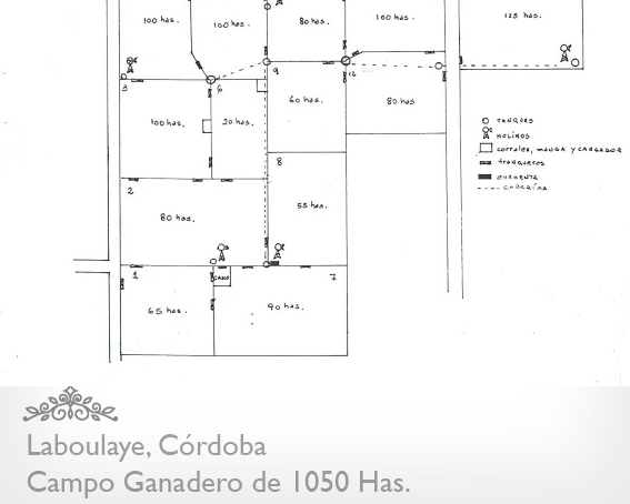 CAMPO GANADERO DE 1050 HAS. EN LABOULAYE - CÓRDOBA - 1