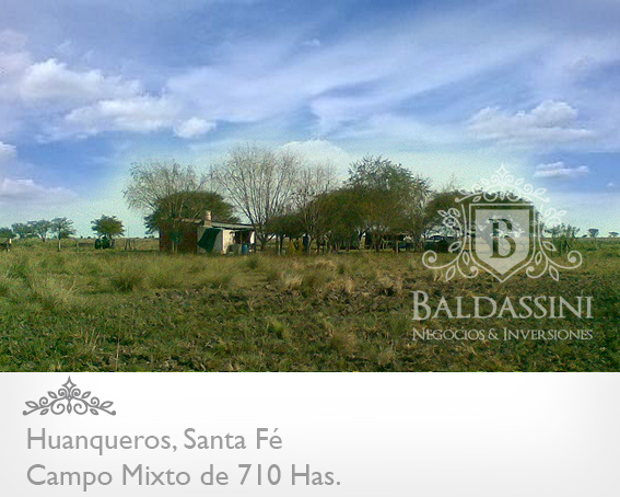CAMPO MIXTO DE 710 HECTÁREAS EN HUANQUEROS, SANTA FE, REPÚBLICA ARGENTINA. CAMPO CON CASA, CORRALES, POZO Y OTRAS MEJORAS. PARA 700 ANIMALES. - 1