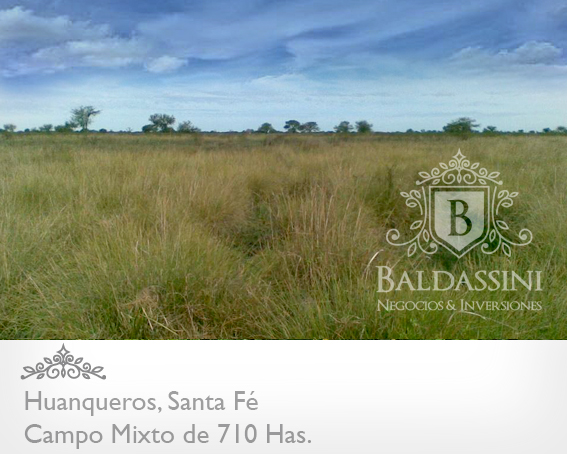 CAMPO MIXTO DE 710 HECTÁREAS EN HUANQUEROS, SANTA FE, REPÚBLICA ARGENTINA. CAMPO CON CASA, CORRALES, POZO Y OTRAS MEJORAS. PARA 700 ANIMALES. - 3