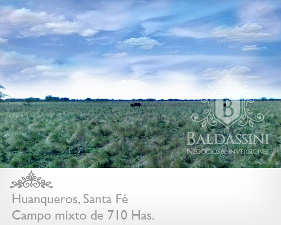 CAMPO MIXTO DE 710 HECTÁREAS EN HUANQUEROS, SANTA FE, REPÚBLICA ARGENTINA. CAMPO CON CASA, CORRALES, POZO Y OTRAS MEJORAS. PARA 700 ANIMALES. - 4