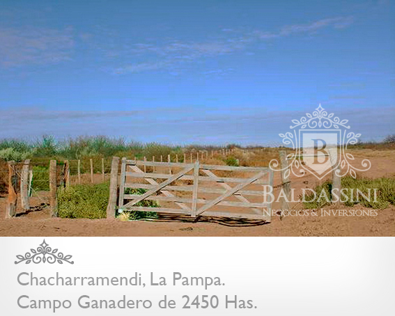 CAMPO GANADERO / COTO DE CAZA DE 2450 HECTÁREAS, CHACHARRAMENDI, LA PAMPA, REPÚBLICA ARGENTINA. - 2