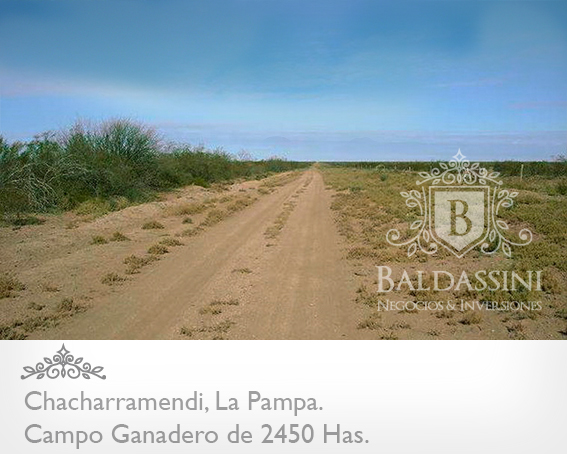 CAMPO GANADERO / COTO DE CAZA DE 2450 HECTÁREAS, CHACHARRAMENDI, LA PAMPA, REPÚBLICA ARGENTINA. - 3