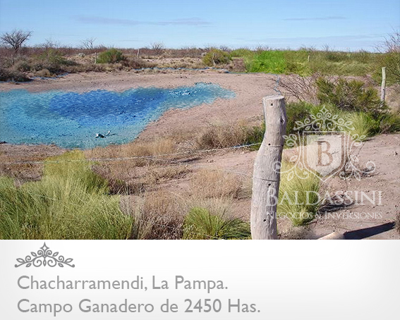 CAMPO GANADERO / COTO DE CAZA DE 2450 HECTÁREAS, CHACHARRAMENDI, LA PAMPA, REPÚBLICA ARGENTINA. - 4