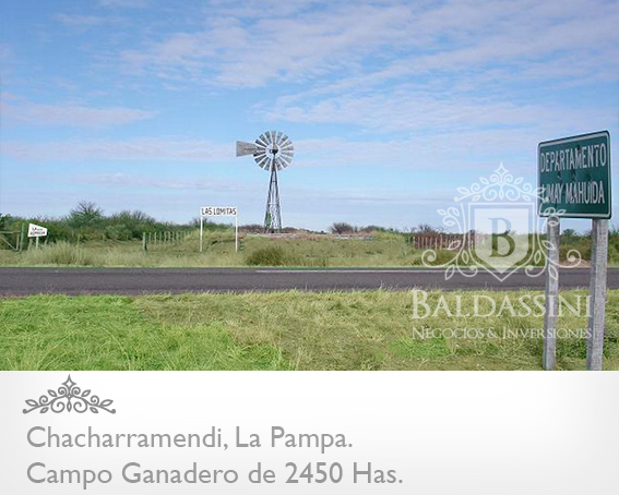CAMPO GANADERO / COTO DE CAZA DE 2450 HECTÁREAS, CHACHARRAMENDI, LA PAMPA, REPÚBLICA ARGENTINA. - 6