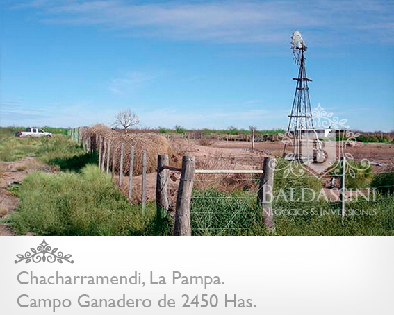CAMPO GANADERO / COTO DE CAZA DE 2450 HECTÁREAS, CHACHARRAMENDI, LA PAMPA, REPÚBLICA ARGENTINA. - 7