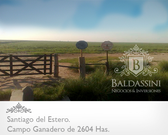 CAMPO MUY ARMADO DE 2604 HECTÁREAS EN EL DEPARTAMENTO DE RIVADAVIA - SANTIAGO DEL ESTERO - REPÚBLICA ARGENTINA. SE VENDE A TRANQUERA CERRADA. - 1
